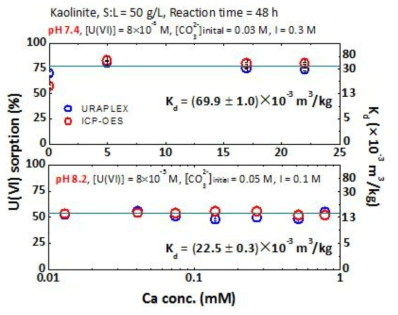 카올리나이트에 흡착된 U(VI) % 및 흡착분배계수 (Kd)