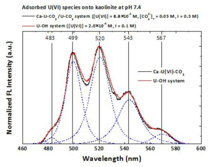 카올리나이트에 흡착된 우라늄(VI) 화학종의 형광스펙트럼