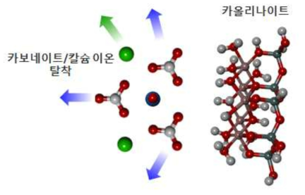 제안된 카올리나이트 광물질 표면에 대한 우라늄(VI) 흡착 메커니즘