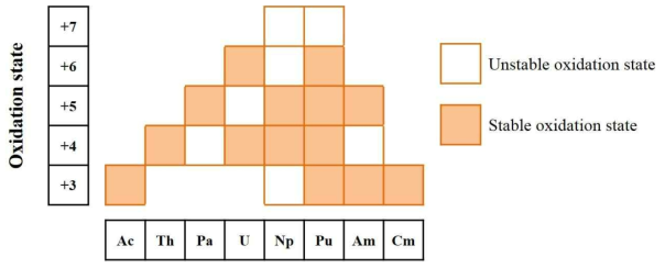 수용액상 악티나이드 원소들의 산화상태
