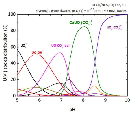 경주 지하수조건에서의 U(VI)의 화학종분포도