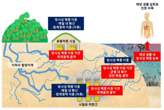 경주 중·저준위방사성폐기물 처분시설 안전성평가 개념모델 모식도