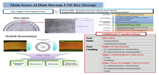 고연소도 사용후핵연료의 결함 정도에 따른 분류체계 및 후속 조치과정 절차