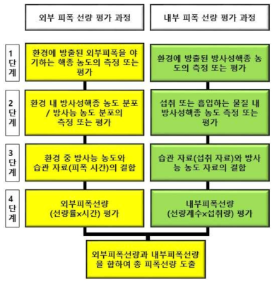 선량 평가 절차의 개괄