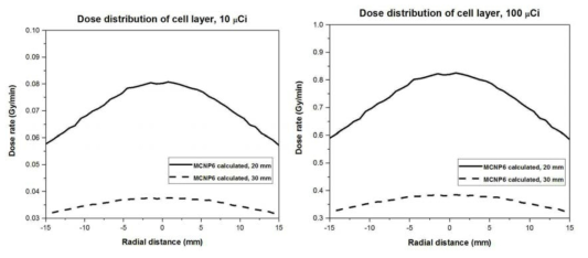 MCNP6로 계산한 실험세포층에 대한 선량 분포