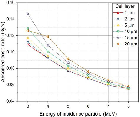 입사 에너지, 세포층 두께에 따른 흡수 선량률 변화