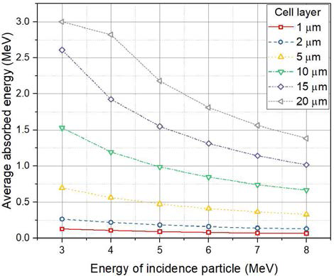 입사 에너지, 세포층 두께에 따른 평균 흡수 에너지 변화