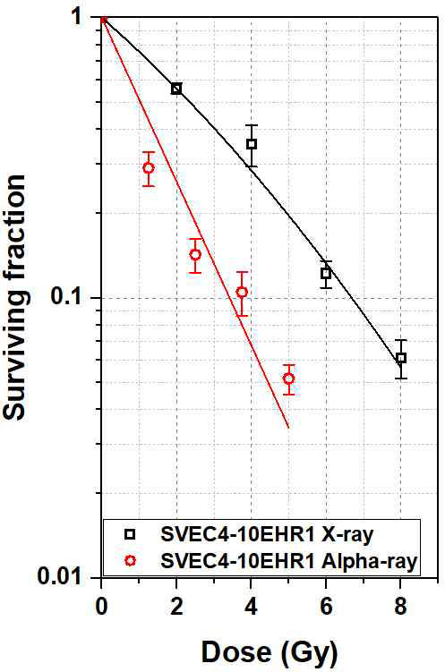 선량에 따른 세포군집형성능 평가 결과 그래프 (SVEC4-10EHR1)