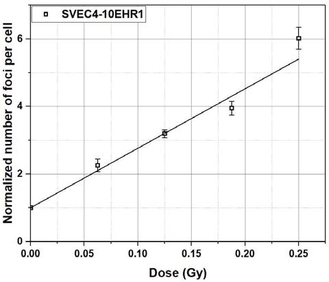 선량에 따른 DNA 손상량 평가 결과 그래프 (SVEC4-10EHR1)