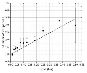 알파선 조사선량에 따른 γ-H2AX foci per cell