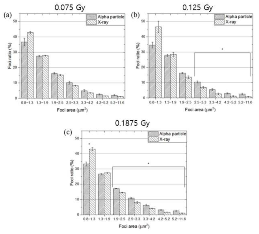 알파선 및 엑스선 조사선량에 따른 foci 크기 분포