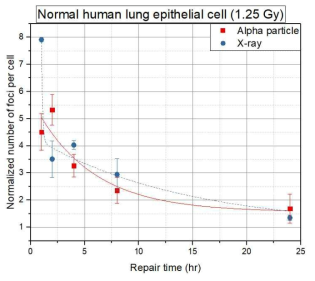 1.25 Gy의 알파선과 엑스선을 각각 조사했을 때 γ-H2AX 회복 결과 및 지수(exponential) 함수로 fitting한 그래프