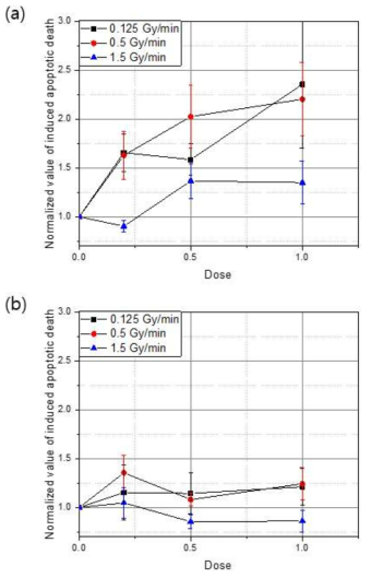 (a) Rat diencephalon과 (b) rat gliosarcoma를 0.125, 0.5, 1.5 Gy/min로 피폭시킨 후 발생한 세포자살의 정도를 0 Gy에서의 값으로 정규화 한 값.