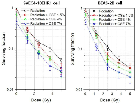 알파선과 담배를 동시에 처리했을 때, 담배 처리 농도와 세포 종류에 따른 세포 생존율 (왼쪽: SVEC4-10EHR1 세포, 오른쪽: BEAS-2B 세포)