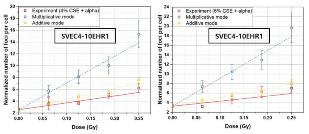 SVEC4-10EHR1 세포에 대해, 담배 농축액(CSE) 처리와 알파선 조사를 동시에 수행했을 때의 결과를 CSE와 알파선을 각각 처리했을 때 실험값의 합(additive mode), 곱(multiplicative mode)과 비교