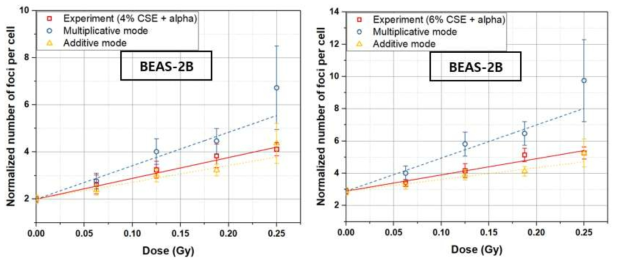 BEAS-2B 세포에 대해, 담배 농축액(CSE) 처리와 알파선 조사를 동시에 수행했을때의 결과를 CSE와 알파선을 각각 처리했을 때 실험값의 합(additive mode), 곱(multiplicative mode)과 비교