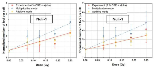 Nuli-1 세포에 대해, 담배 농축액(CSE) 처리와 알파선 조사를 동시에 수행했을 때의 결과를 CSE와 알파선을 각각 처리했을 때 실험값의 합(additive mode), 곱(multiplicative mode)과 비교