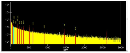 HPGe 감마분광시스템에서의 백그라운드 스펙트럼