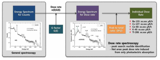 G-인자를 이용한 선량률분광분석법