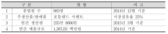 시멘트 제조 B사의 회사 현황