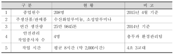 화학 및 제조 C사 회사 현황