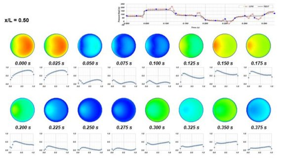 시간에 따른 관 단면의 속도분포(x/L = 0.50)