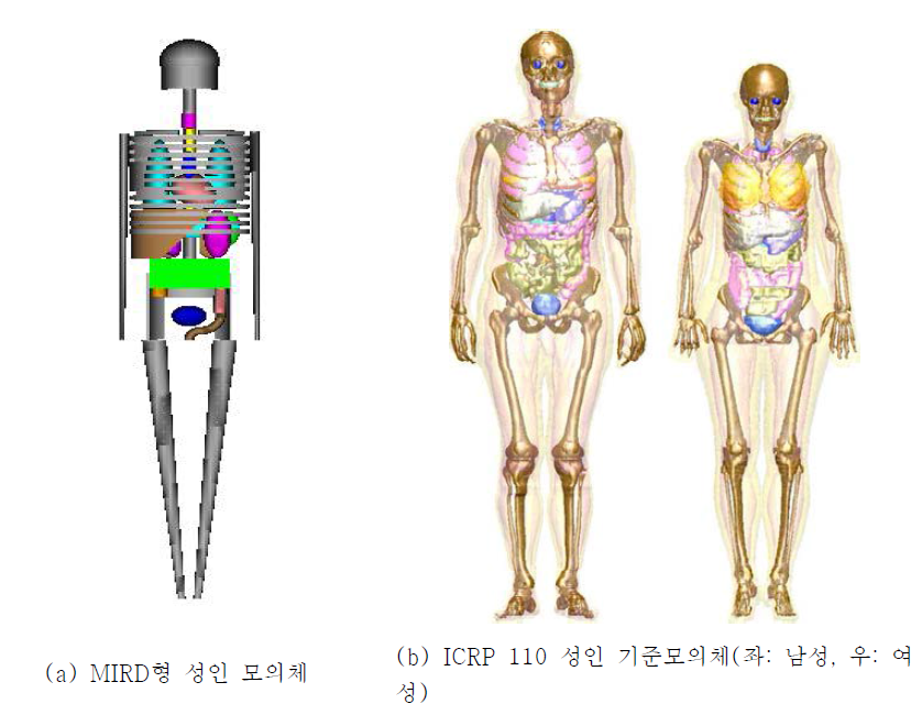 방사선량 계측용 인형 모의체의 변화.