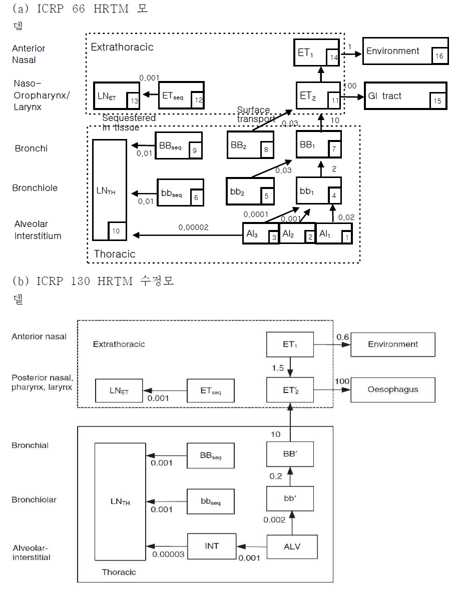 내부피폭 평가를 위한 호흡기 모델(HRTM)의 수정