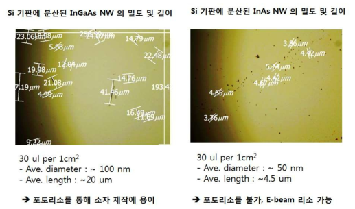 기판 전사된 InGaAS 및 InAS NW의 현미경 사진