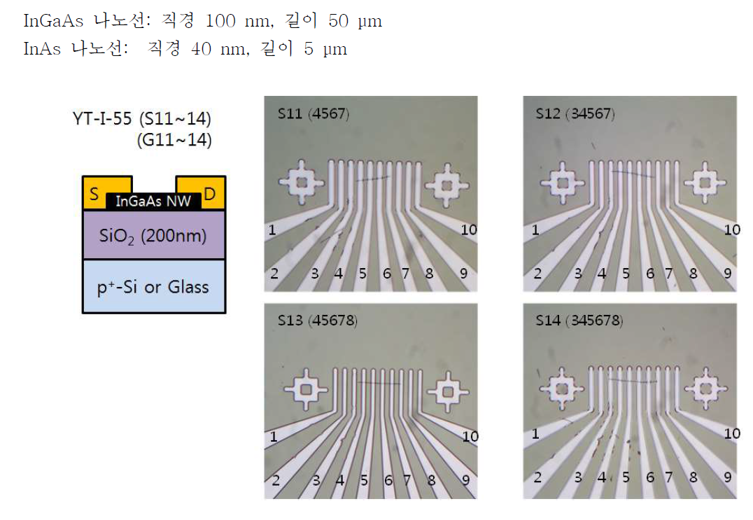 Pad공정된 InGaAs NW의 현미경 사진