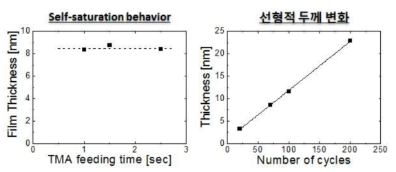 ALD에 의한 Al2O3 성장의 자기제한적 성장 거동 및 사이클 수 변화에 따른 박막 두께 변화