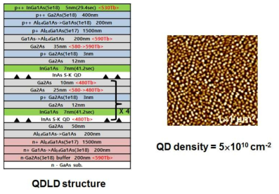 QDLD의 단면 구조 및 AFM이미지