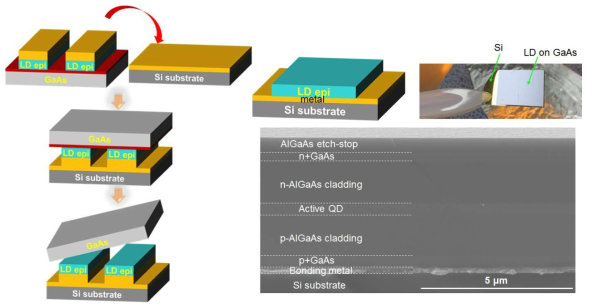 Si상 QDLD의 제작공정도 및 단면 SEM사진