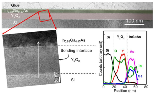 InGaAs-OI의 단면 TEM사진 및 EDX profile