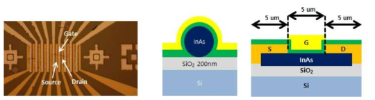InAs 메모리 소자 광학 이미지 및 소자 모식도