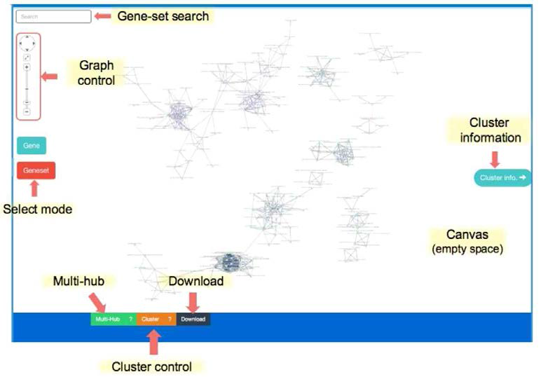 Gene-set network