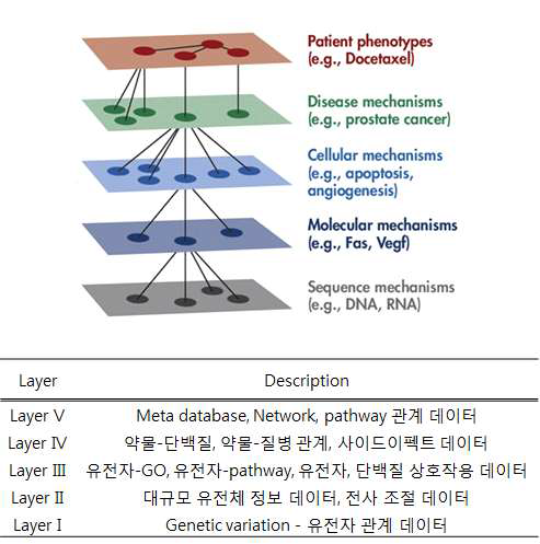 다양한 생물학적 데이터들 간의 관계와 관계를 구분하기 위한 Layer