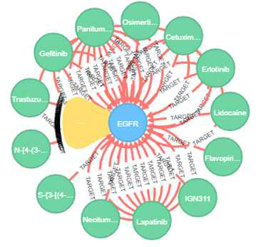 EGFR 유전자를 target으로 하는 다양한 chemical 검색 결과 그래프 (파란색: 유전자, 초록색: chemical)