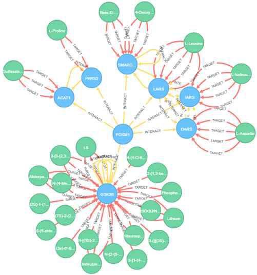FOXM1이 조절하는 유전자 중, chemical의 target으로 조절되는 유전자 리스트 및 그 관계 도시 (파란색: 유전자, 초록색: chemical)