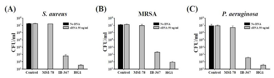 Effect of eDNA on antibacterial activity of AMPs (MSI-78, IB-367, HG1) in S. aureus, MRSA and P . aeruginosa. Killing of planktonic cells by the AMPs (8 μg/ml) with eDNA. The means and standard deviations of triplicated determinations are presented