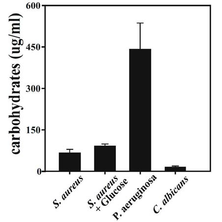 Quantitation of extracellular carbohydra tes from biofilm matrix of S. aureus, S. aureus + Glucose, P . aeruginosa and C. albicans