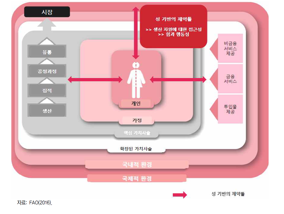 FAO의 성 인지적 가치사슬 체계