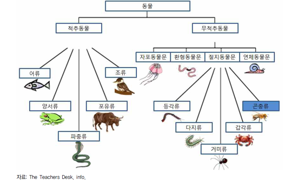 곤충의 동물 분류학적 위치