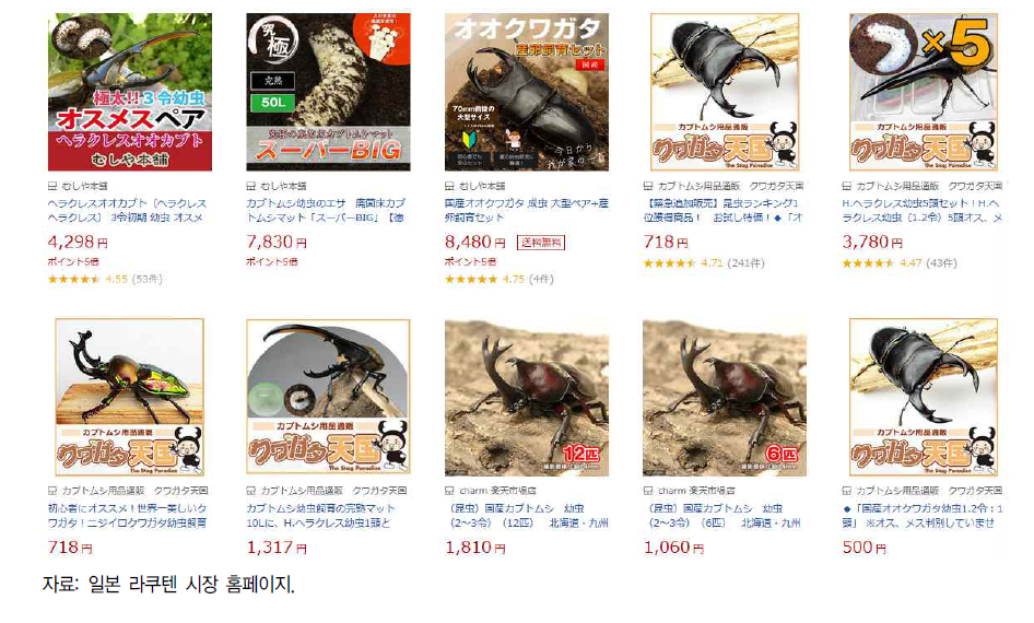 일본 대형 온라인 쇼핑몰에서 판매중인 애완용 곤충