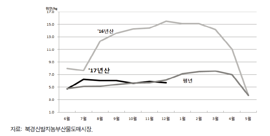 중국 마늘 도매가격 동향