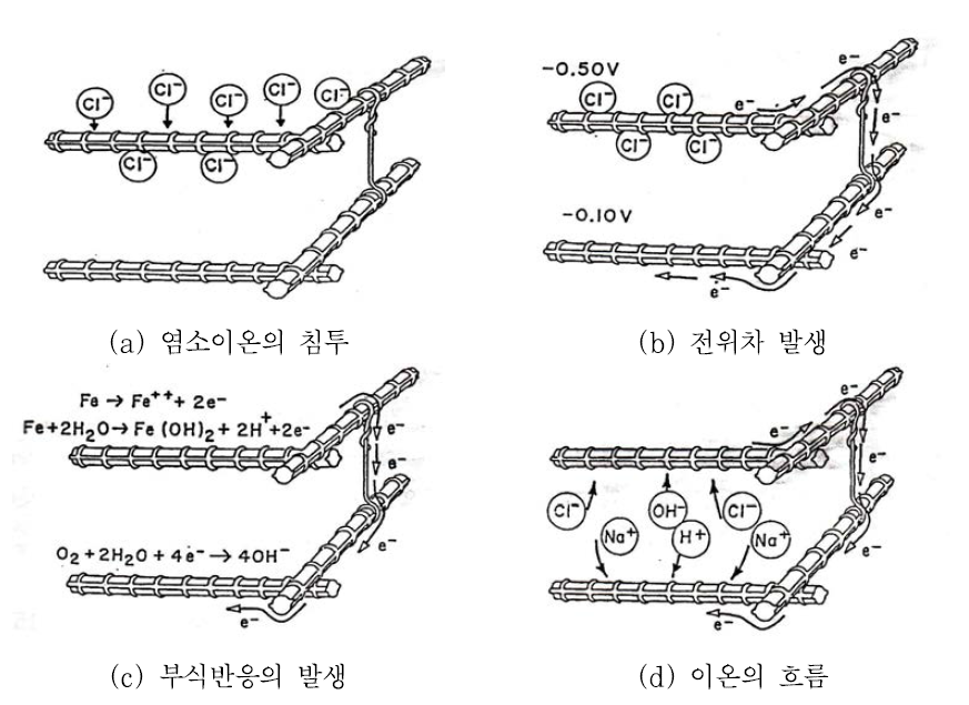 염소이온에 의한 철근의 부식과정