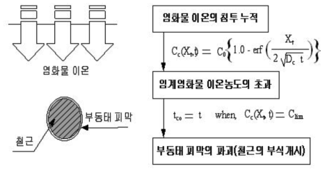 철근 부식의 개념도