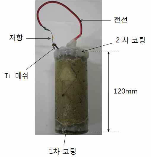 부식 측정을 위한 콘크리트 실험체