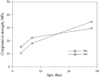 콘크리트의 재령별 압축강도