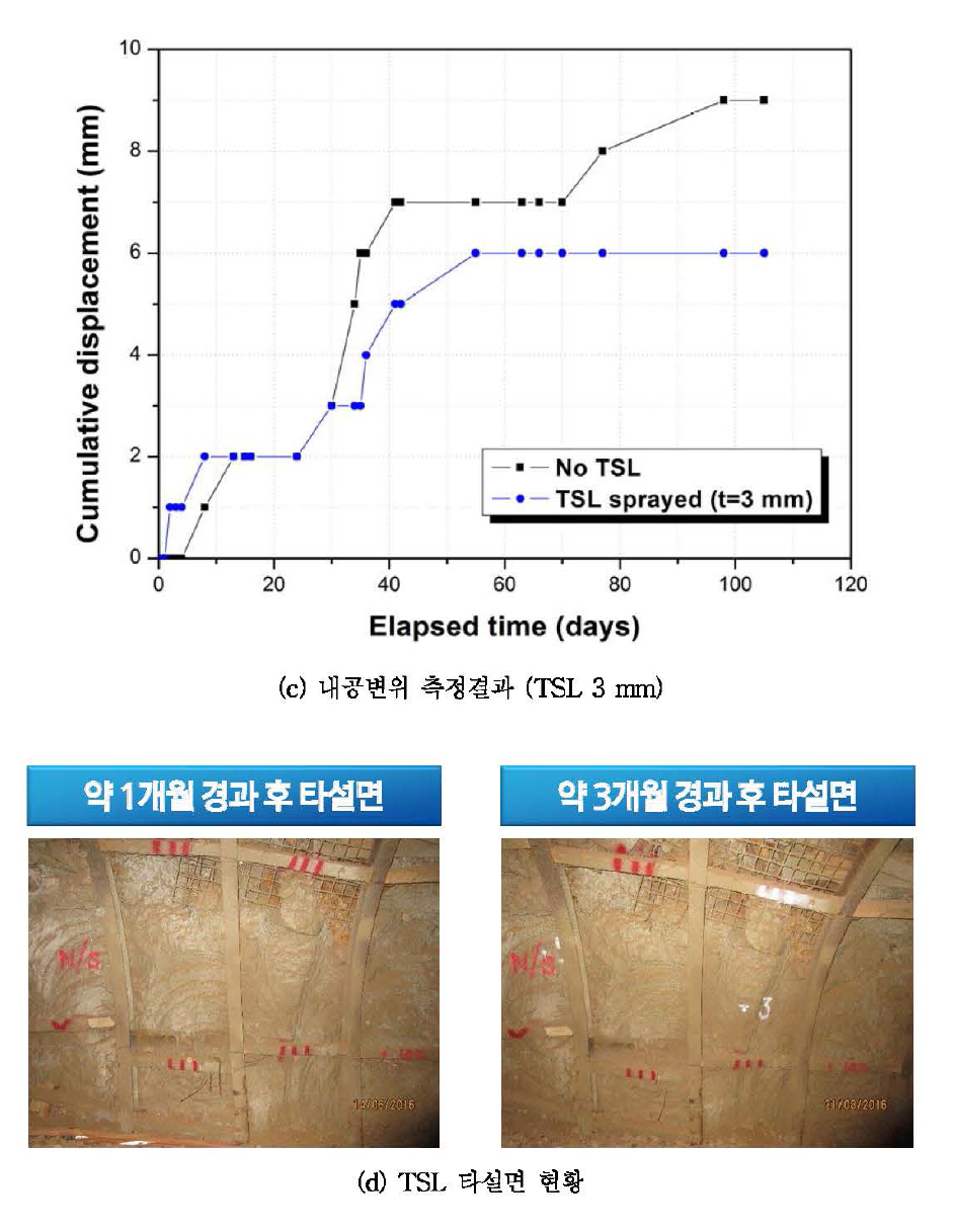 2성분 TSL의 멕시코 Boleo Mine 현장시공 관련 주요 측정 및 관찰 결과(계속)